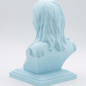 Busto Io sono Giorgia - immagine 4