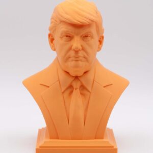 Busto Orange Donald - immagine 1