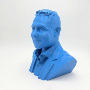 Busto Generale Vannacci - immagine 2