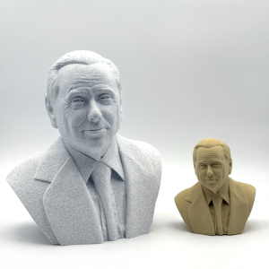 Busto Il Cavaliere - immagine 5